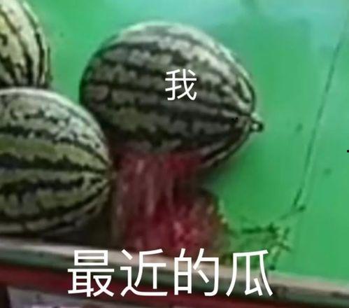 吃瓜百科在线